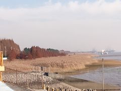 -瀛洲公园