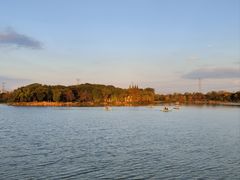 -昆山城市生态森林公园