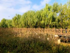 -沙澧河风景区