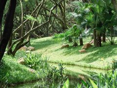 -人民公园(罗湖区)