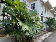 -中国科学院西双版纳热带植物园
