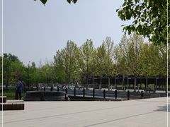 -大望京公园