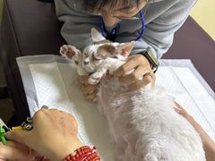 -美联众合动物医院·24h转诊中心
