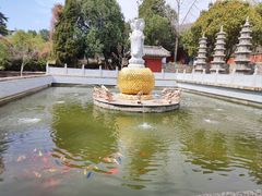 -泰山风景名胜区-普照寺