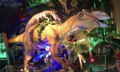 点击看大图 -恐龙探索乐园(磁器口店)