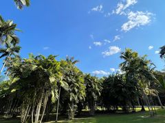 -中国科学院西双版纳热带植物园