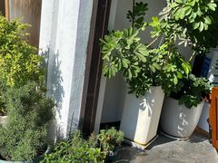 -Eu2+ coffee(上大路店)