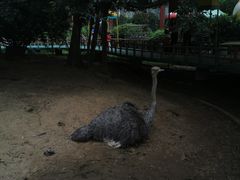 -百万葵园