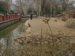 -郑州市动物园