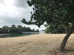 -巴拉湾海滩