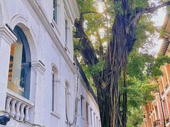 -星巴克臻选(广州沙面店)