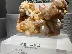 -湖南省地质博物馆