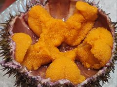 -日月昇渔家菜·海肠捞饭·大连海鲜(星海公园店)