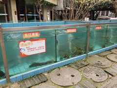 水产区-天怡·鱼工厂(梅溪湖店)