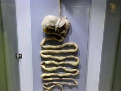 -生命奥秘博物馆