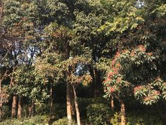 -中共五大会址纪念馆