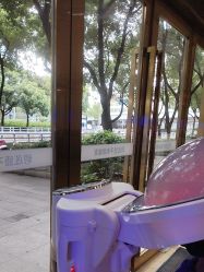 -碧莲盛·不剃发植发