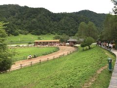 -大水川景区