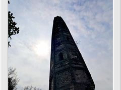 -上海佘山国家森林公园天马山园