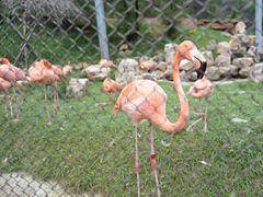 -沈阳森林动物园