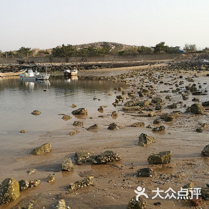 威海小石岛赶海公园图片