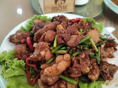 -凤百年大骨鸡饭庄