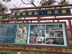 -广西龙虎山风景区