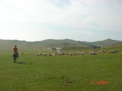 -塞罕坝国家级自然保护区