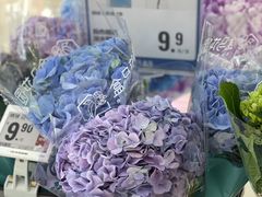 -盒马鲜生(岭南新世界店)