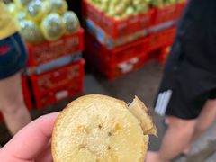 -三亚新鸿港水果一级批发市场