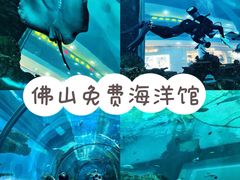 -乐从天佑城海洋馆