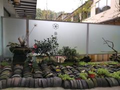 -乐领拈花溪·林涧食韵