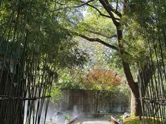 -新荣记(西溪湿地店)