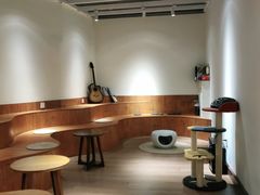 -有猫主题·治愈系猫咖(曾厝垵店)