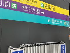 -望京西(地铁站)