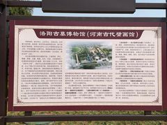 -洛阳古墓博物馆