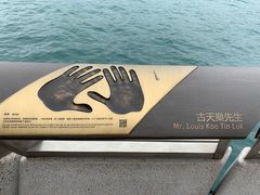 -星光大道