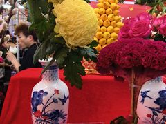 -越秀西湖花市(广州城市广场花卉店)