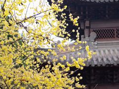 -钱王祠