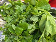 -金鼎雪山牦牛杂火锅(理县总店)