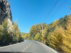 -芦芽山旅游度假区