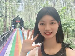 -合肥滨湖国家森林公园