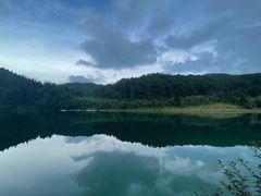 -武陵山森林公园