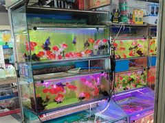 -杭州西湖银泰百货
