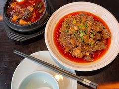 -陈麻婆豆腐总店