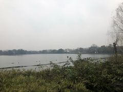 -西湖外事游船(花港观鱼码头)