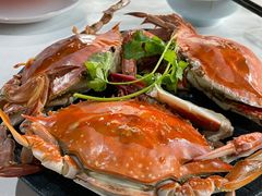 -阿尔法海鲜排档(爱琴海店)