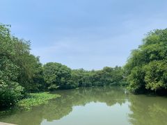 -西溪国家湿地公园