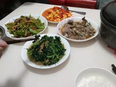 -家家月嫂育婴师育儿嫂(龙岗直营店)