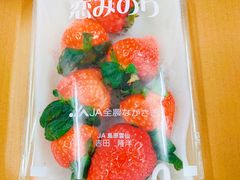 -油麻地果栏